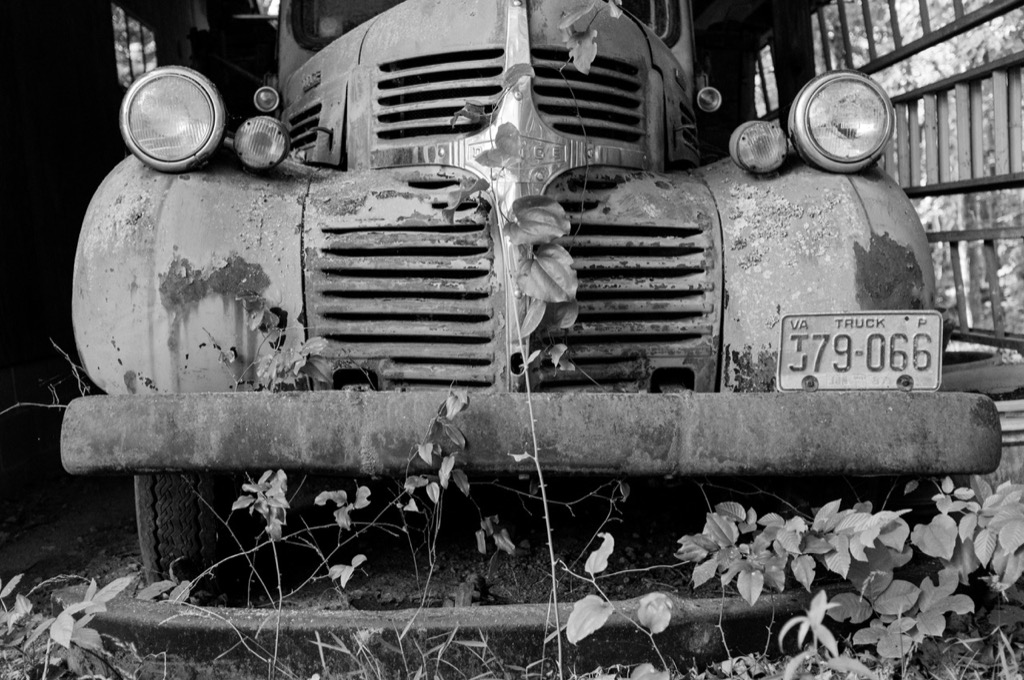 Westrek Photo
