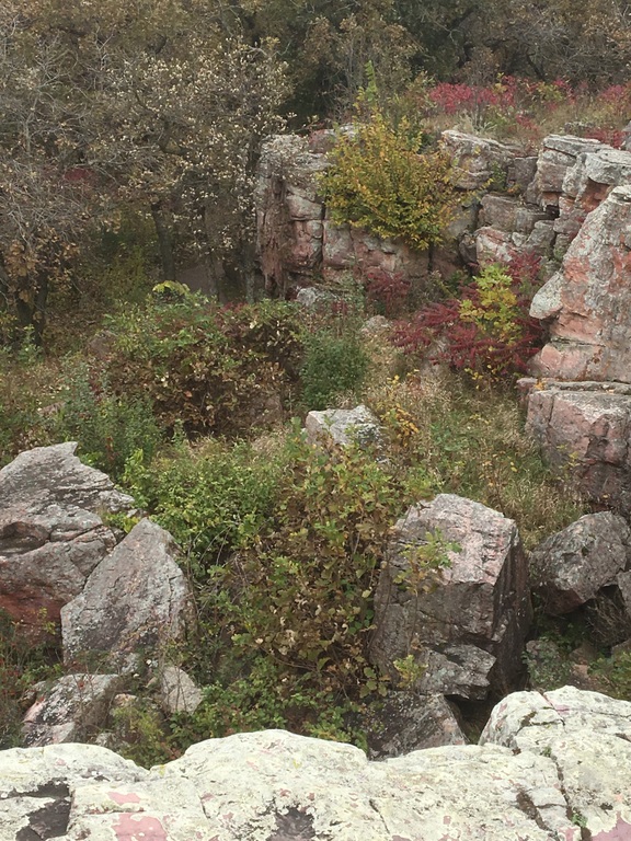 MW Photo