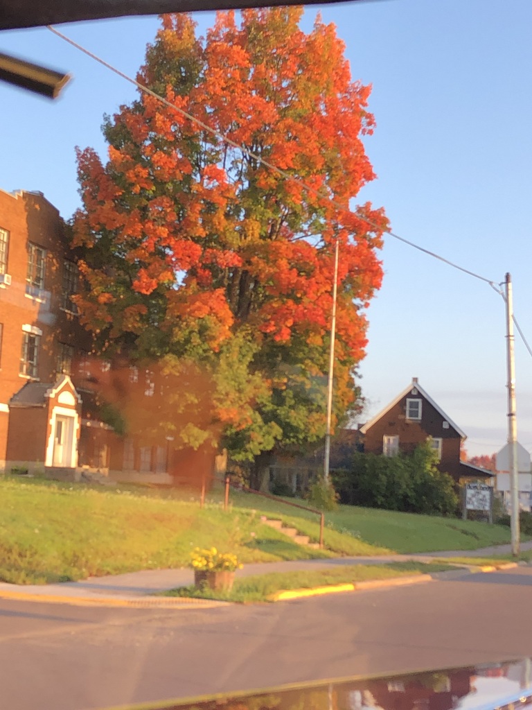 Midwest Photo