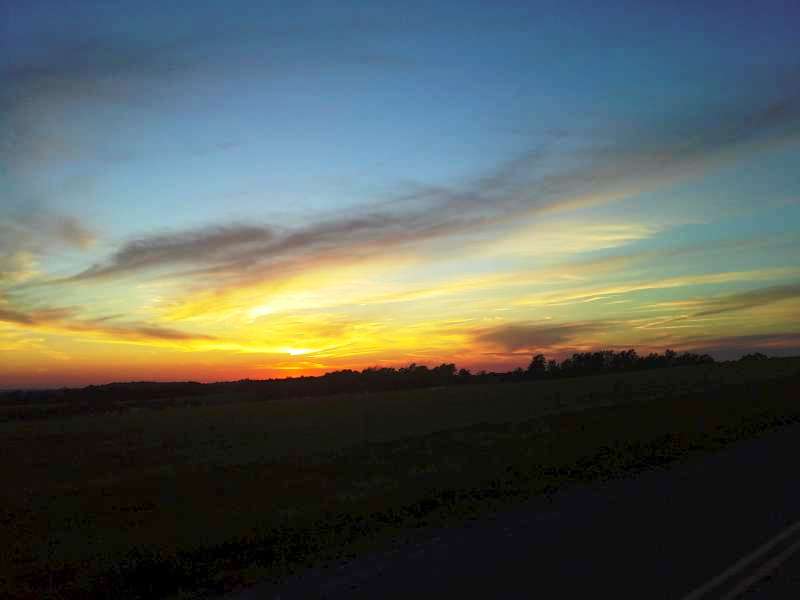 Trek Pic