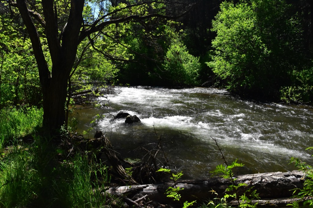 Westrek Photo